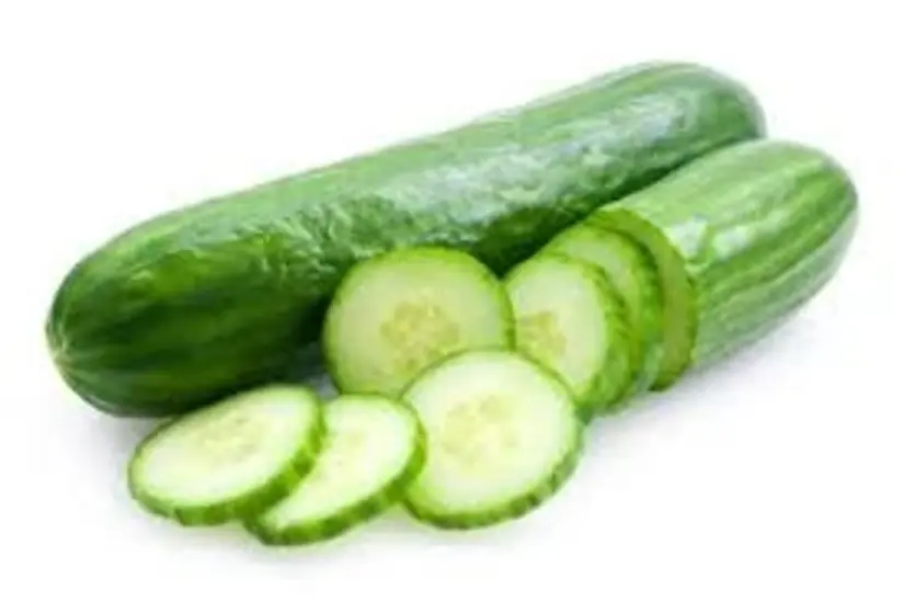 Cucumber P-Kg